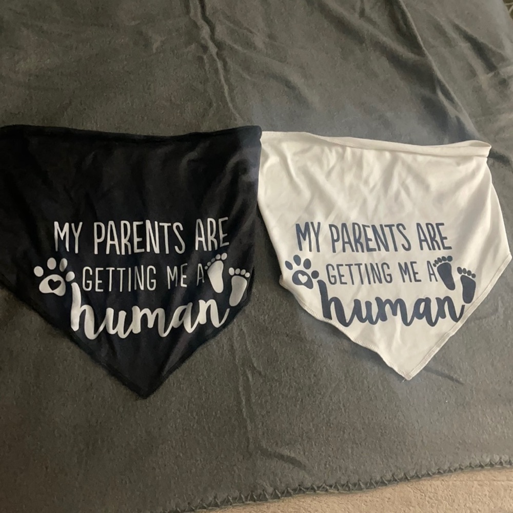 Baby announcement bandanas